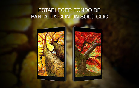 Screenshot 13 Fondos de pantalla con árboles android