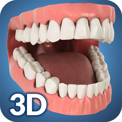 Dental Anatomy Pro.  Icon
