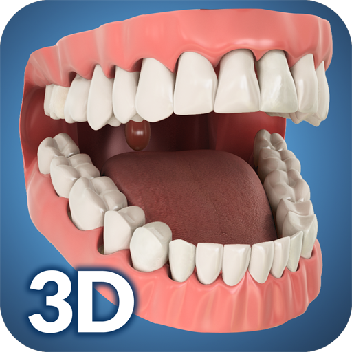 Dental Anatomy Pro. logo
