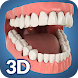 Dental Anatomy Pro. - Androidアプリ