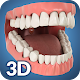 Dental Anatomy Pro. Скачать для Windows