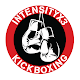 IntensityX3 and Kickboxing