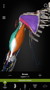 Anatomyka - Atlas de anatomía 3D MOD APK (todo desbloqueado) 4