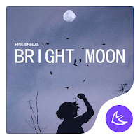 Brighten Moon APUS Launcher th