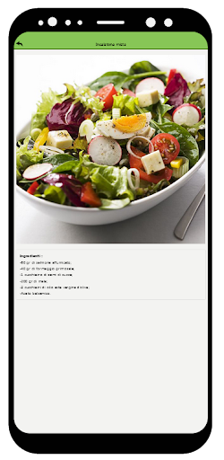 WellDiet Screen 2