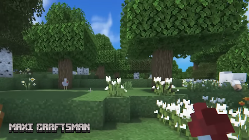 Maxi Lokicraft - Craftsman 3D