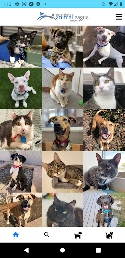 Adopt a Rescue Screen 2