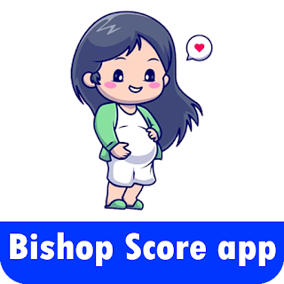 Bishop Score Calculator