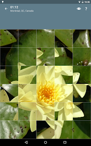 Captura 13 Rompecabezas: Flores android
