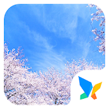 Blooming flowers 91 Launcher Theme icon