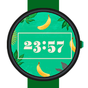 Tropical Summer Watch Face