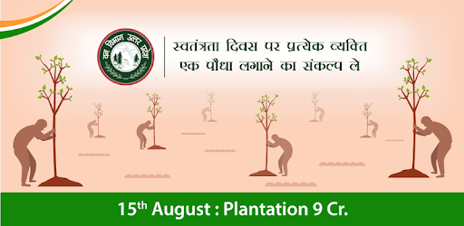 15 August : Plantation 9 Cr. cover