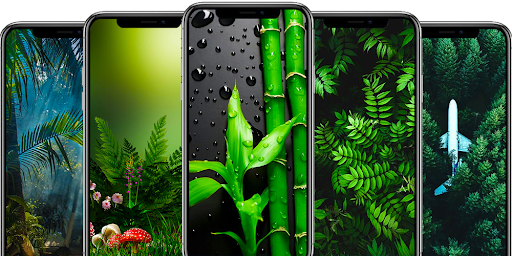 Android application Nature wallpaper screenshort