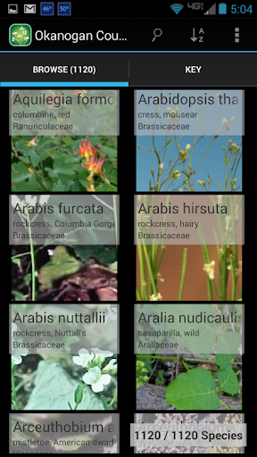 Android application 2100 Idaho Wildflowers screenshort