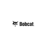 Bobcat Inspection Tool