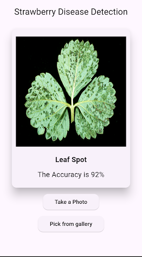 Strawberry Disease Detection