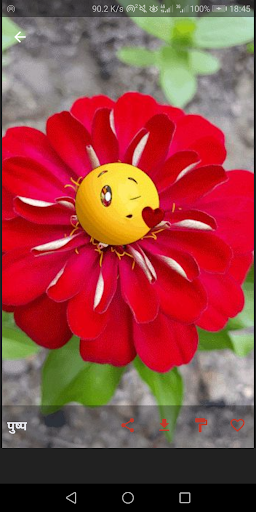 सुप्रभात चित्र २०२०