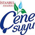 Cover Image of Unduh Cenesuyu Istanbul  APK