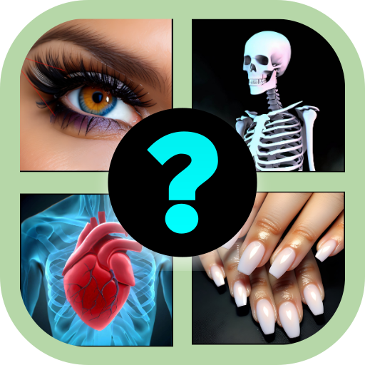 Human Body Parts Quiz Game Install on Windows