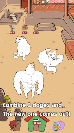 Game screenshot Shibe doge evolution mod apk