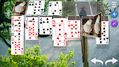 Solitaire 3D - Solitaire Game