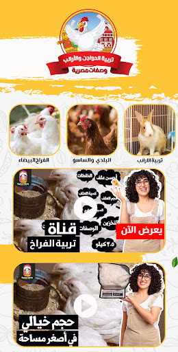 Android application تربية الفراخ في المنزل screenshort