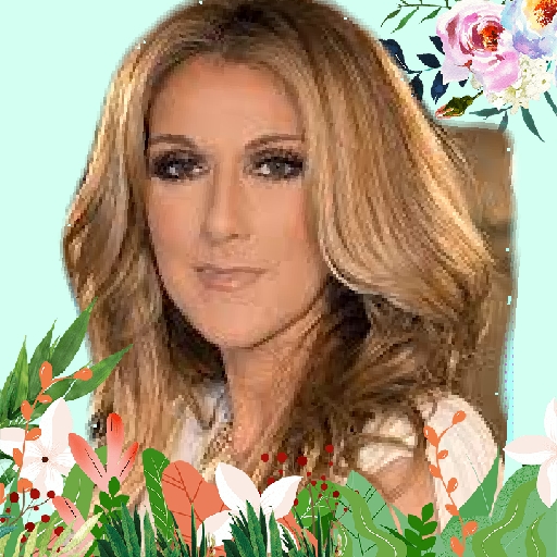 Celine Dion all Songs offline Download on Windows