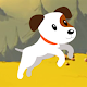 Max :Dog run