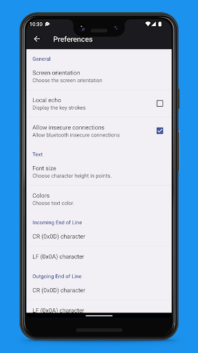 BlueTerm 3 Screen 2