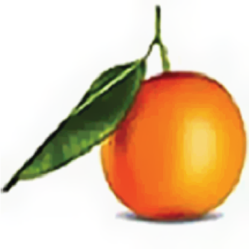 Orange County Brokerage logo