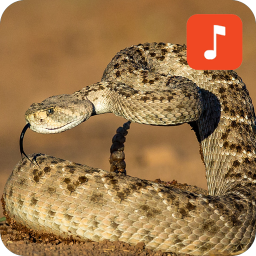 Rattlesnake Sound Effects for PC / Mac / Windows 11,10,8,7 Free