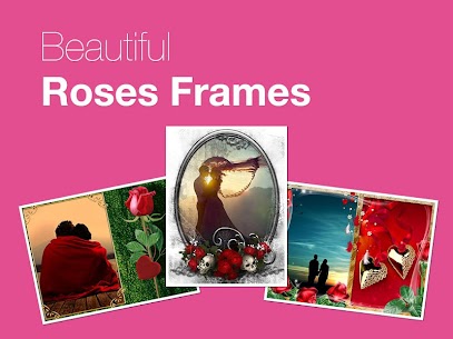 Beautiful Roses Photo Frames For PC installation