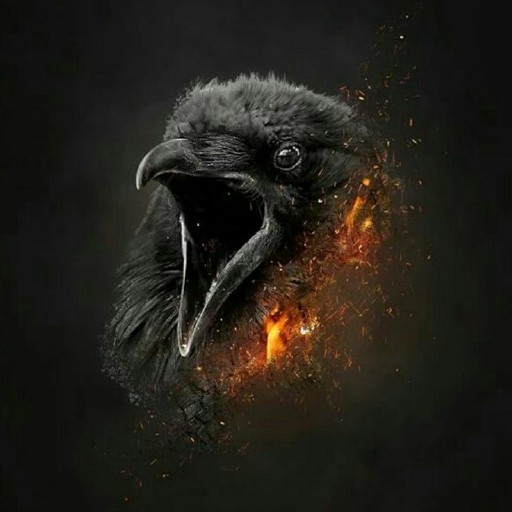 Raven Wallpapers logo