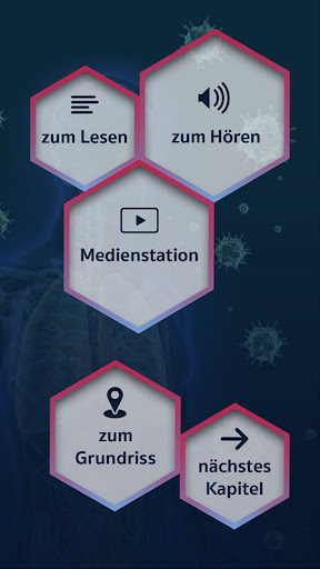 Roemer- und Pelizaeus-Museum