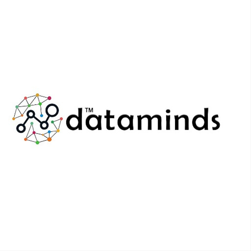 Data Minds logo