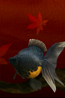 金魚3Dのおすすめ画像5