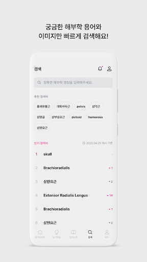 아나토미마스터 - 이파마스터가 만든 해부학 암기앱 Screenshot