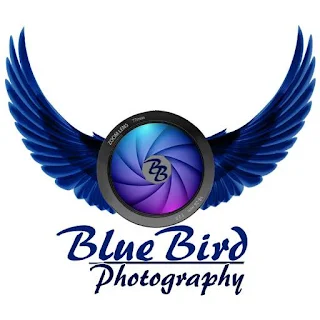Bluebird Photography apk
