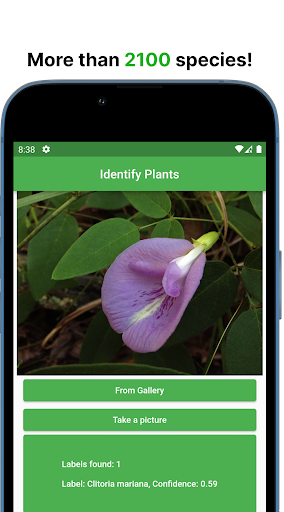 Plant Identifier Screen 3