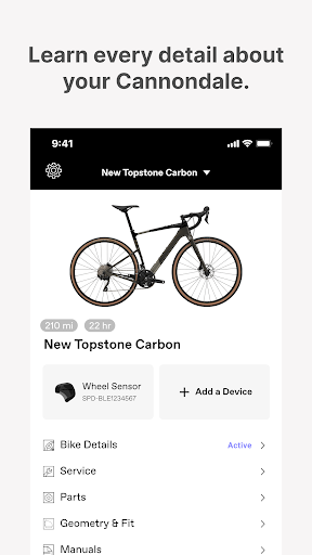 Cannondale Screen 3