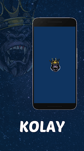 Twelfth Screen 2