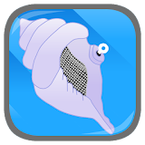 Magic Shell icon