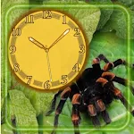 Cover Image of Download Spiders Jungles Clock  APK