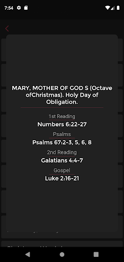 Liturgical Calendar 2025 Screen 3