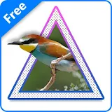 Prism Photo art filter effect icon