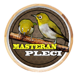 Chirping Masteran Pleci icon