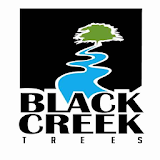 Black Creek Trees icon