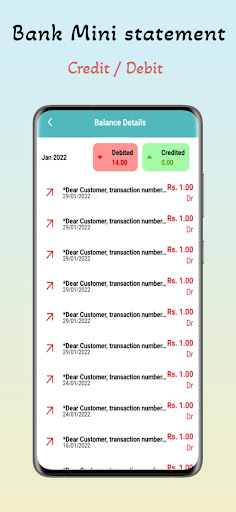 Bank Passbook Mini Statement Screen 2
