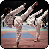 Video Lengkap Teknik Taekwondo icon