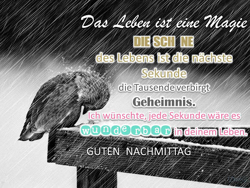 German Good Morning Night Screen 3